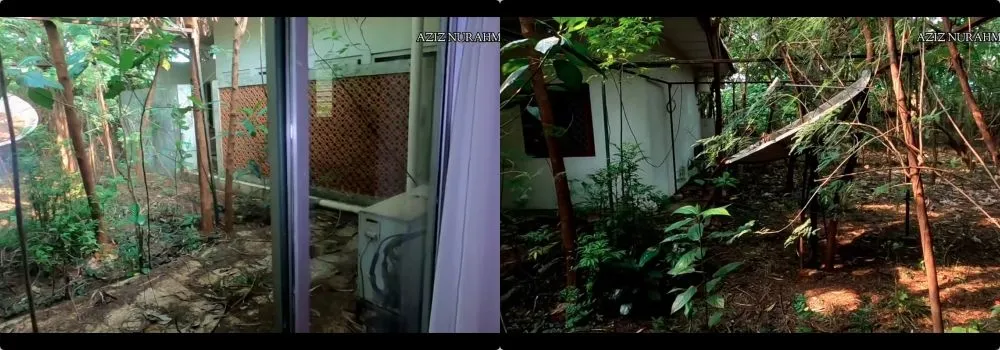 rumah mewah ada sisik ular © 2021 YouTube