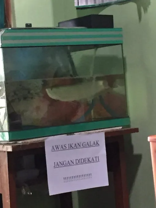 cara amankan hewan peliharaan yang kocak abis © 2021 instagram.com cara amankan hewan peliharaan yang kocak abis © 2021 instagram.com