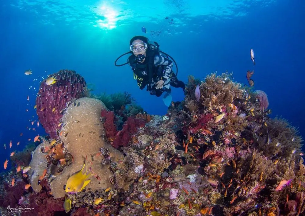 Potret Gisel Diving © 2021 Instagram