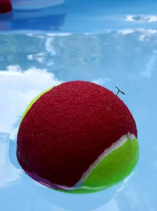 tanaman muncul tempat nggak biasa © 2021 Berbagai Sumber tanaman muncul tempat nggak biasa © 2021 Berbagai Sumber