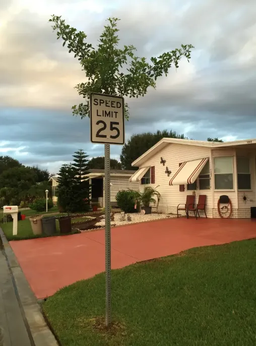 tanaman muncul tempat nggak biasa © 2021 Berbagai Sumber tanaman muncul tempat nggak biasa © 2021 Berbagai Sumber