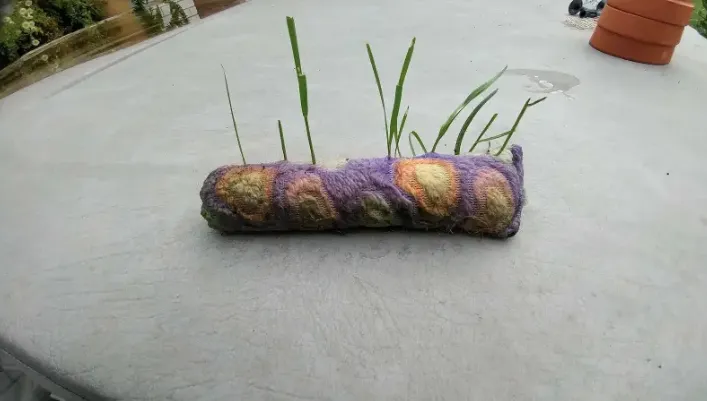 tanaman muncul tempat nggak biasa © 2021 Berbagai Sumber tanaman muncul tempat nggak biasa © 2021 Berbagai Sumber