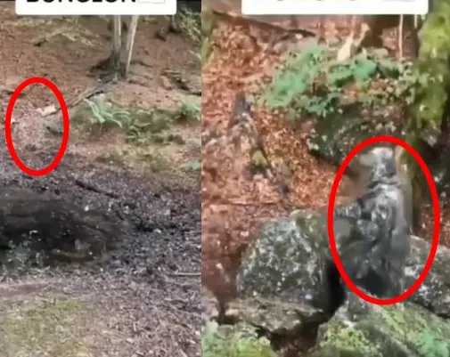 TNI kamuflase © 2021 brilio.net TNI kamuflase © 2021 brilio.net