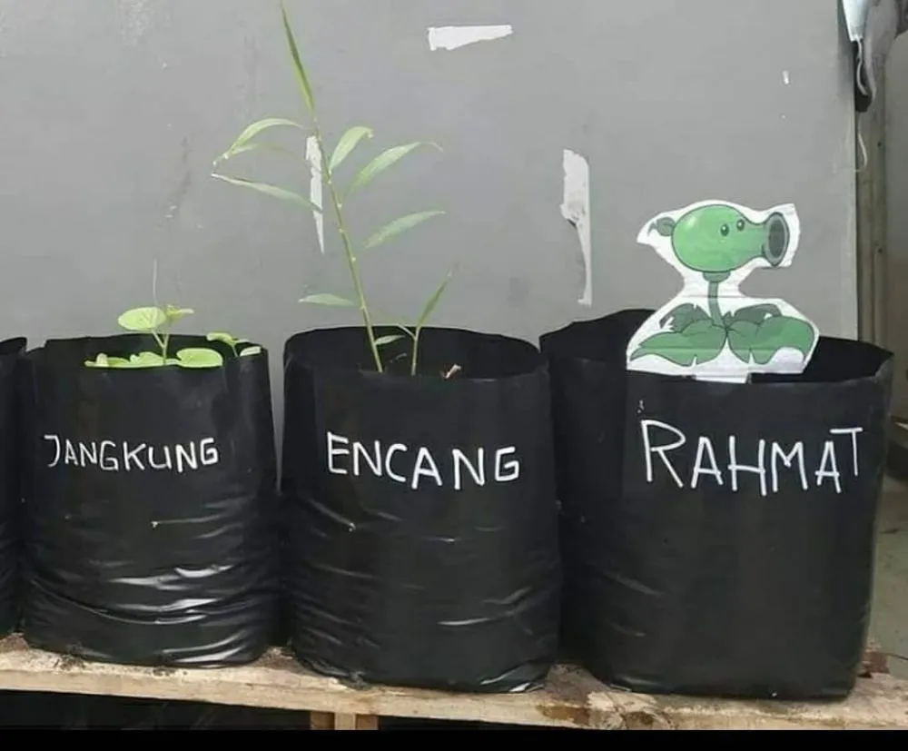 aksi lucu petani bercocok tanam © 2021 berbagai sumber