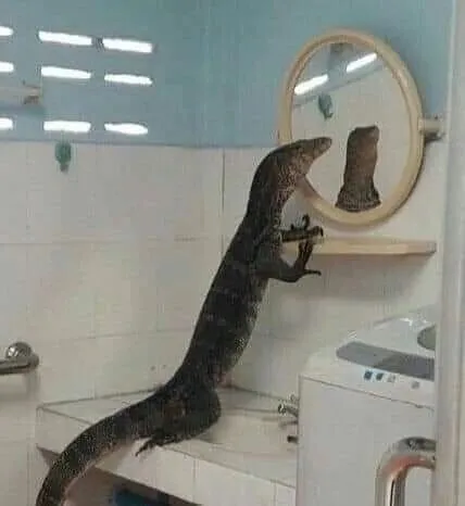 benda nggak biasa ada di kamar mandi © 2021 instagram.com benda nggak biasa ada di kamar mandi © 2021 instagram.com