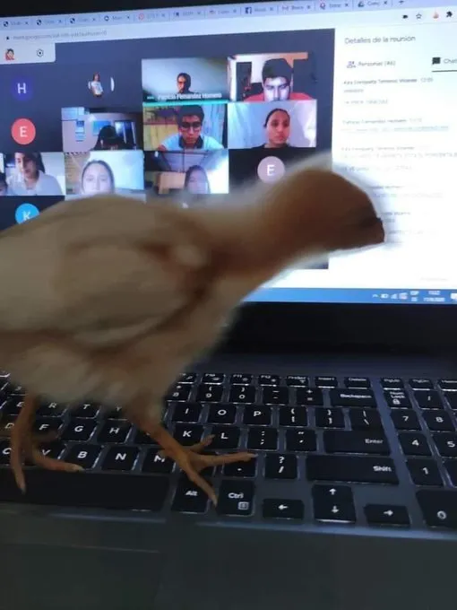 momen lucu pengen marah tapi malah nggak bisa © 2021 instagram.com