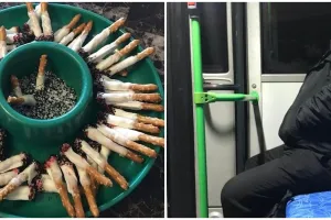 11 Potret ini menipu mata, perlu lihat dua kali