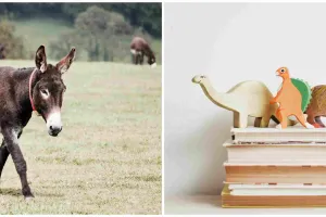 7 Contoh teks fabel lengkap dengan pesan moral dan penjelasan struktur