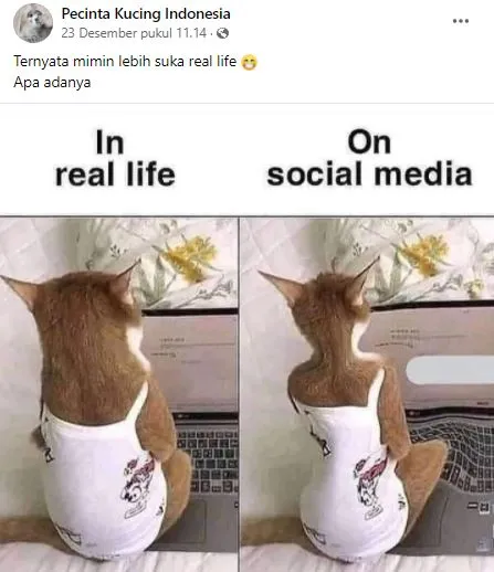 status pemilik kucing © 2021 Facebook