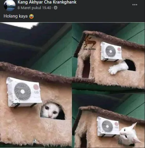 status pemilik kucing © 2021 Facebook