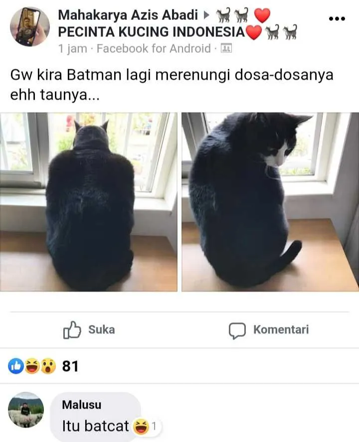 status pemilik kucing © 2021 Facebook
