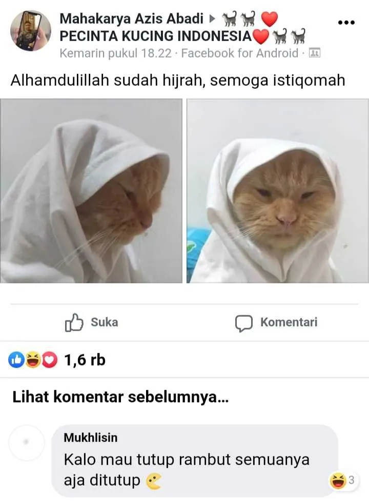 status pemilik kucing © 2021 Facebook