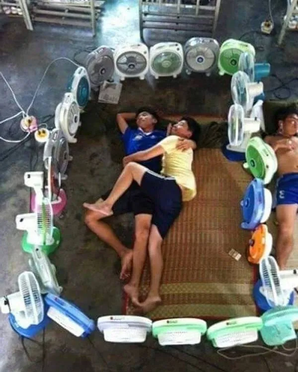 yang penting rebahan dan tidur © berbagai sumber yang penting rebahan dan tidur © berbagai sumber