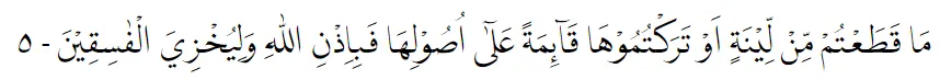 surat Al-Hasyr lengkap © 2022 brilio.net surat Al-Hasyr lengkap © 2022 brilio.net