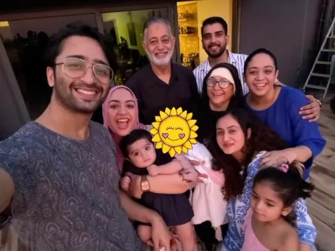 Shaheer Sheikh momong anak © Instagram