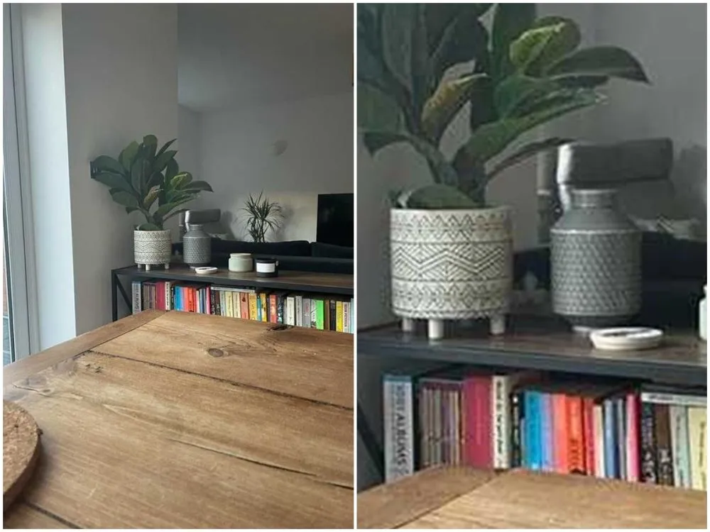 potret kucing sembunyi © Twitter potret kucing sembunyi © Twitter