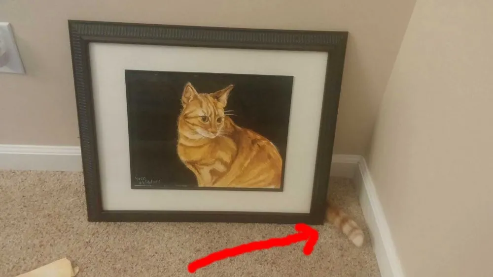 potret kucing sembunyi © Twitter potret kucing sembunyi © Twitter