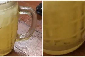 Viral es jeruk berisi jentik nyamuk, auto mual