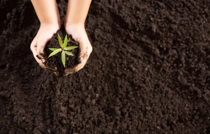 Contoh teks monolog singkat © 2022 berbagai sumber 