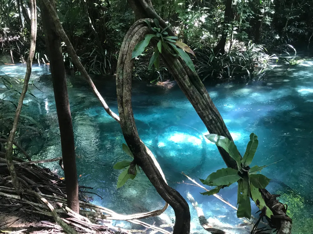 wisata terbaik di Raja Ampat © 2022 berbagai sumber wisata terbaik di Raja Ampat © 2022 berbagai sumber