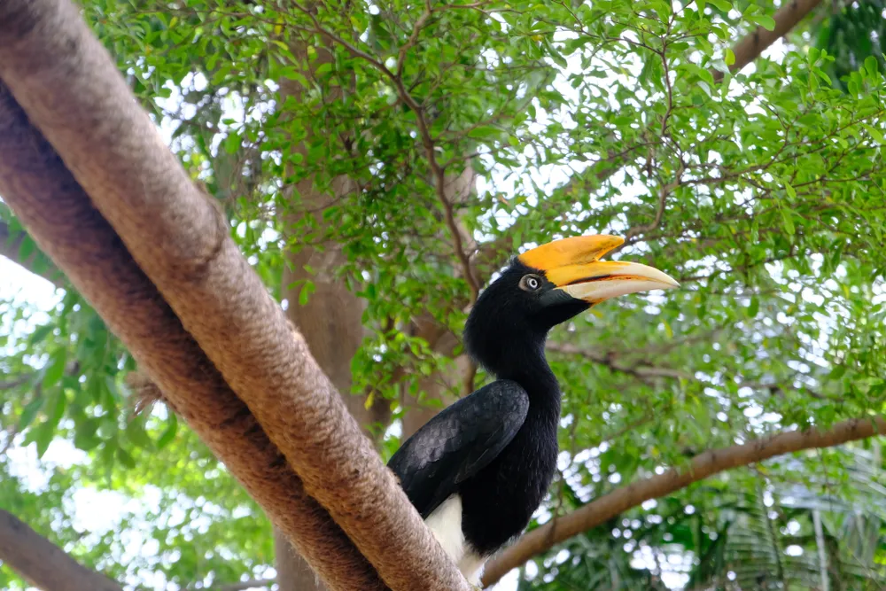 wisata terbaik di Raja Ampat © 2022 berbagai sumber wisata terbaik di Raja Ampat © 2022 berbagai sumber