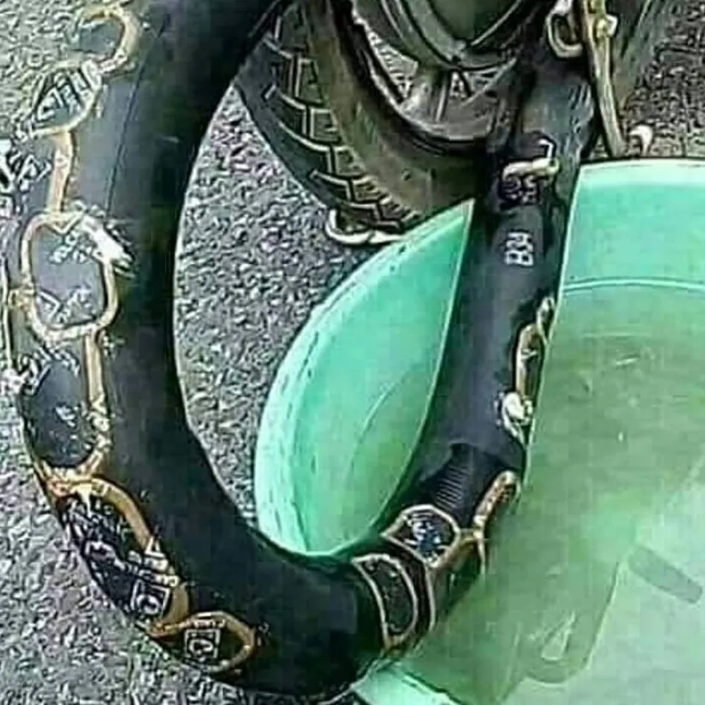 benda menyerupai binatang © berbagai sumber