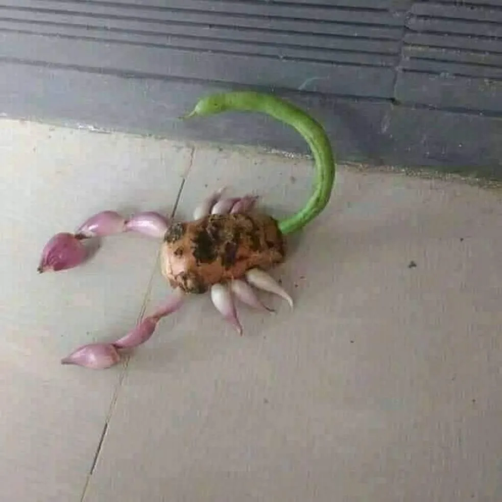 benda menyerupai binatang © berbagai sumber