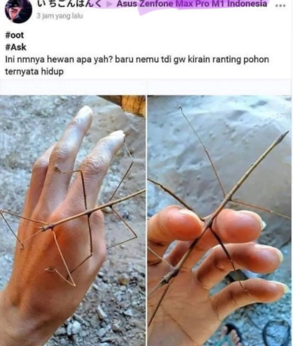 status fb ada kejanggalan lucu © Instagram