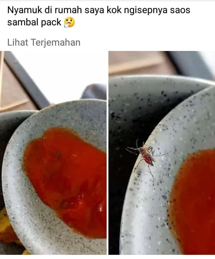 status fb ada kejanggalan lucu © Instagram