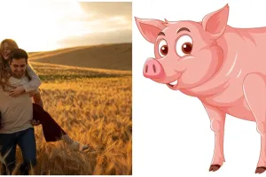 16 Arti mimpi dikejar babi, bisa jadi isyarat adanya kabar bahagia