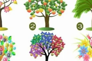 Pilih 1 pohon ini dan cek plus-minus kepribadianmu yang paling dominan