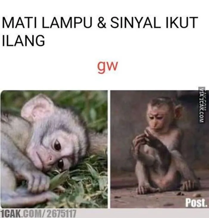 meme cari sinyal © berbagai sumber