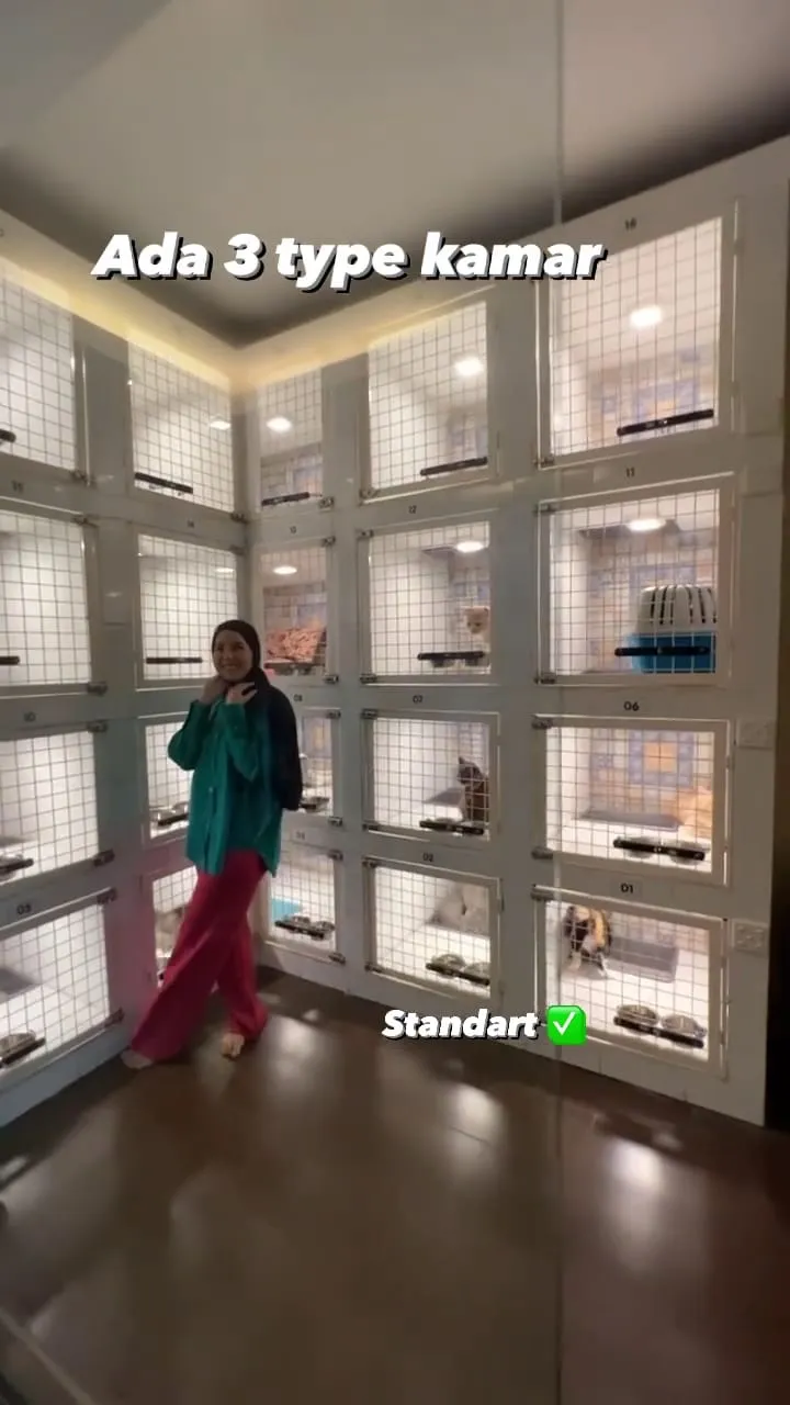 penampakan hotel kucing milik tya ariestya © instagram