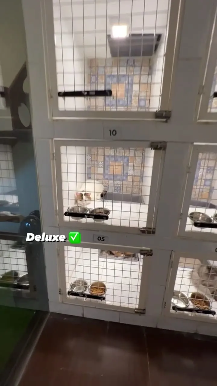 penampakan hotel kucing milik tya ariestya © instagram