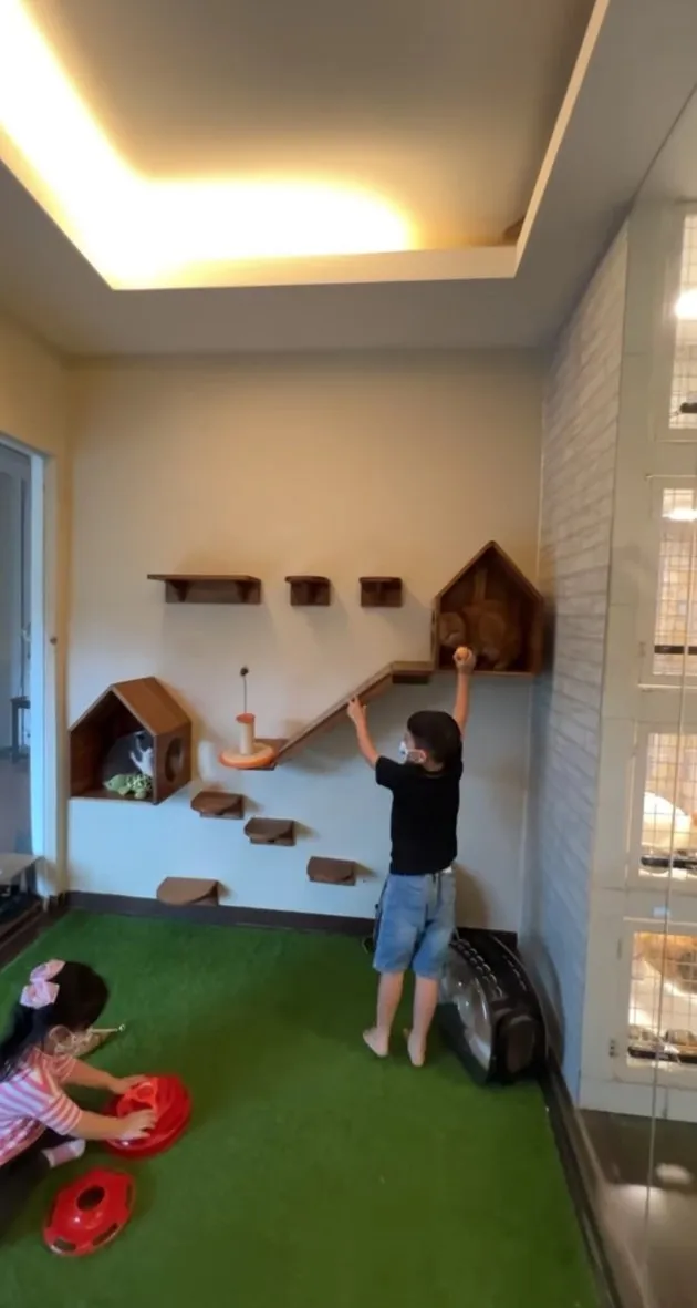 penampakan hotel kucing milik tya ariestya © instagram