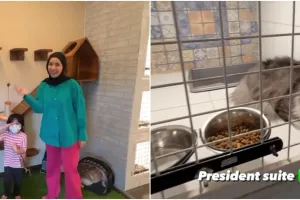 9 Penampakan hotel kucing milik Tya Ariestya, dilengkapi playground