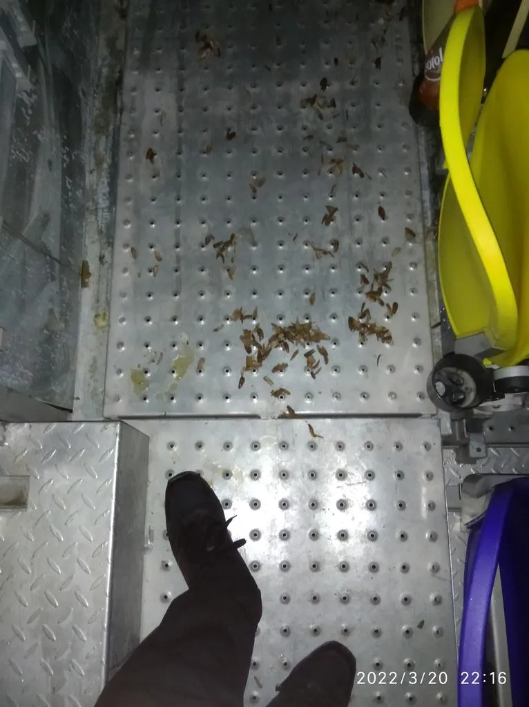 potret sampah berserakan di Sirkuit Mandalika © Twitter/@Muhammad_Getar potret sampah berserakan di Sirkuit Mandalika © Twitter/@Muhammad_Getar