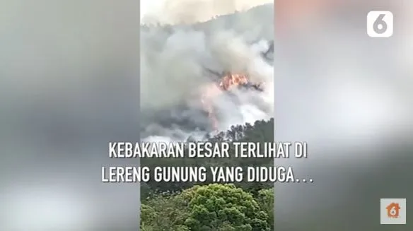 kecelakaan pesawat China Berbagai sumber