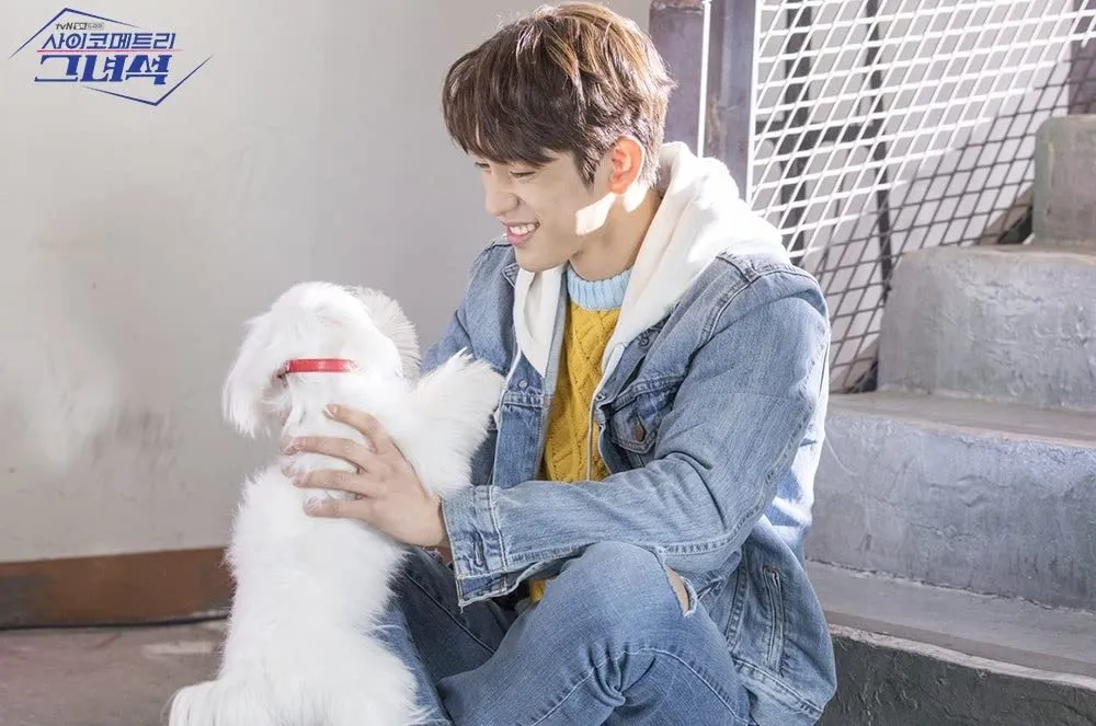 drama Korea pencinta binatang berbagai sumber
