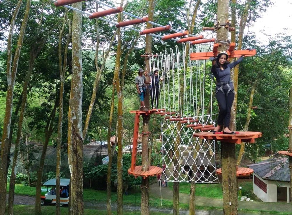 Fakta menarik Kampoeng Kopi Banaran © Fakta menarik Kampoeng Kopi Banaran ©