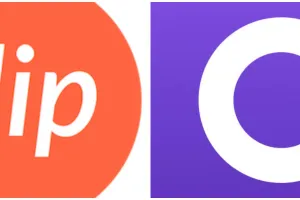 7 Cara transfer Flip ke OVO, top up jadi mudah