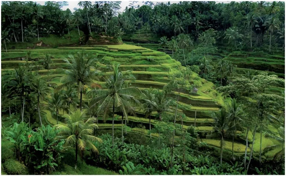 Trik abadikan momen mudik bak solo traveling © berbagai sumber Trik abadikan momen mudik bak solo traveling © berbagai sumber