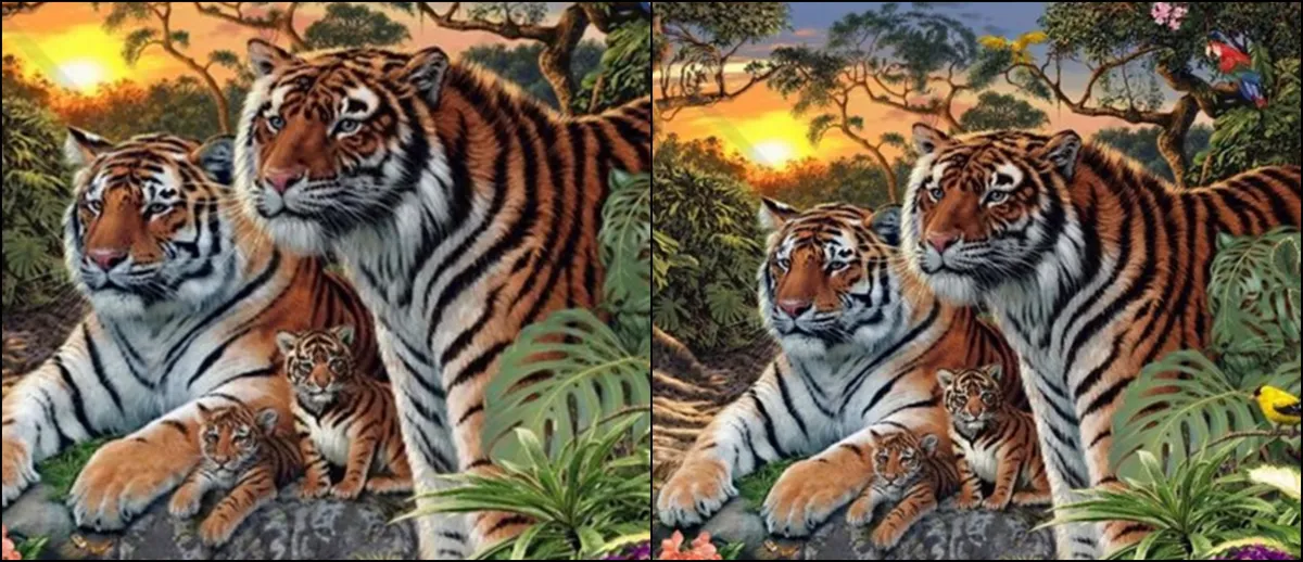 Jumlah harimau yang kamu lihat ungkap kekuatan terbesarmu