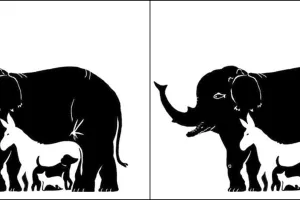 Cek apakah kamu tipe optimis, pesimis, atau realistis dari tes ini