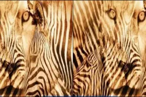 Hewan yang pertama kamu lihat ungkap apakah kamu mandiri atau manja