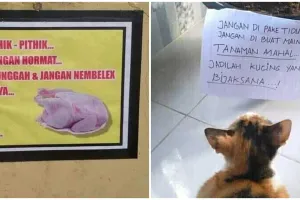 21 Peringatan lucu untuk hewan, isinya nyeleneh banget