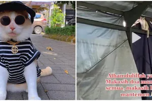 Sempat hilang, kini Pororo kucing viral TikTok ditemukan