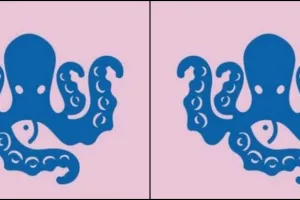 Hewan yang pertama kamu lihat ungkap watakmu saat hadapi masalah