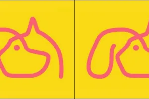 Dari tes gambar ini kamu bisa tahu apa ambisi kariermu di masa depan