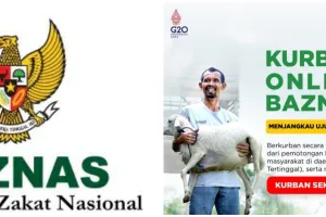 5 Cara kurban online lewat Baznas, nggak pakai ribet